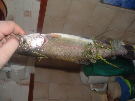 encor un truitre